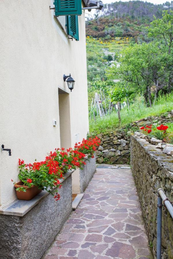 Tra le mura Levanto Extérieur photo