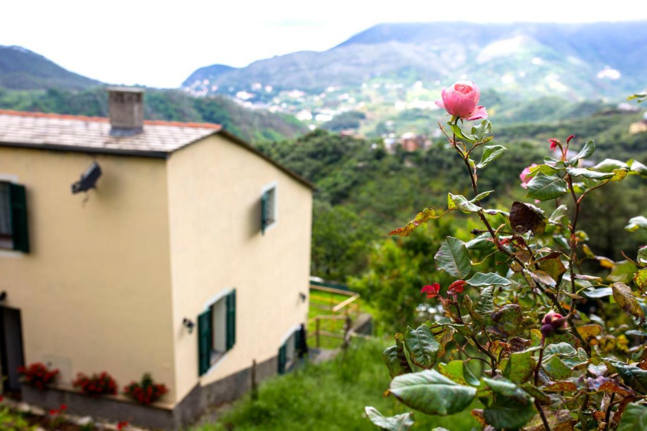 Tra le mura Levanto Extérieur photo